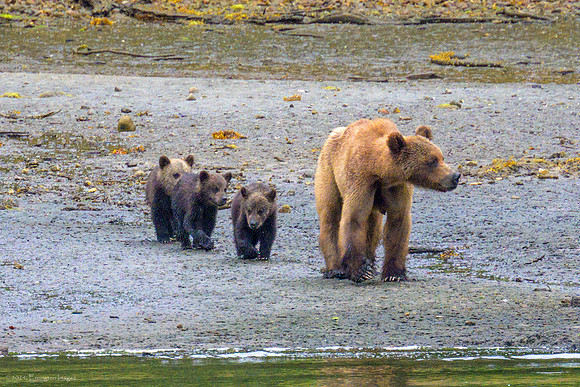 Alaska 2024