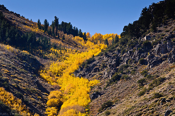 June Lake Loop