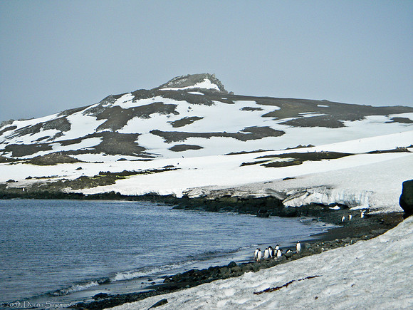 Aitcho Island