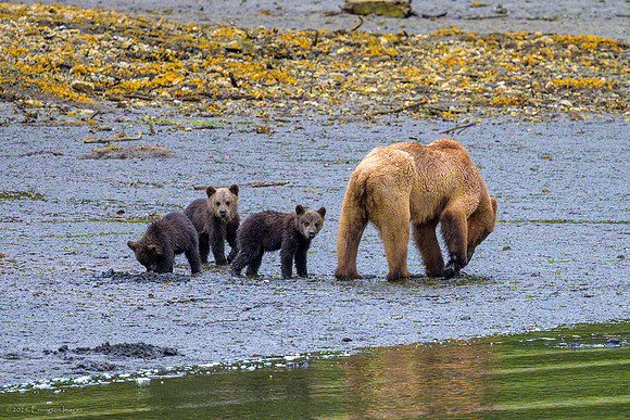 Alaska 2024