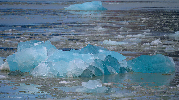 Alaska 2024