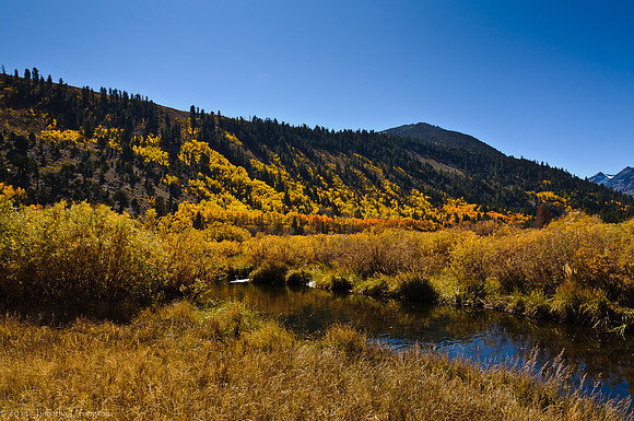 Green Creek