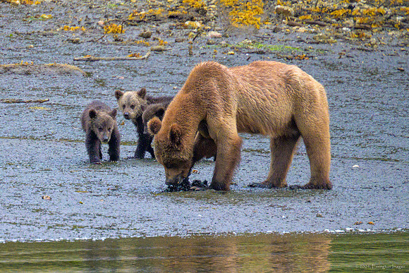 Alaska 2024