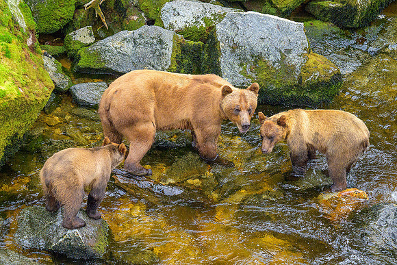 Alaska 2024