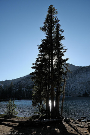 May Lake