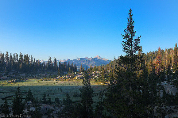 Long Meadow