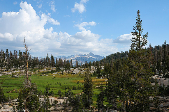 Long Meadow