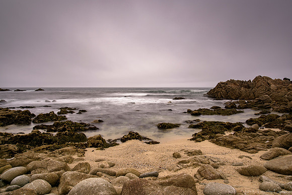 Gloomy Day