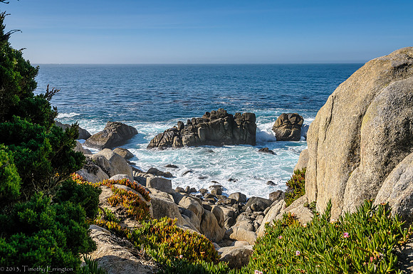 Pescadero Point