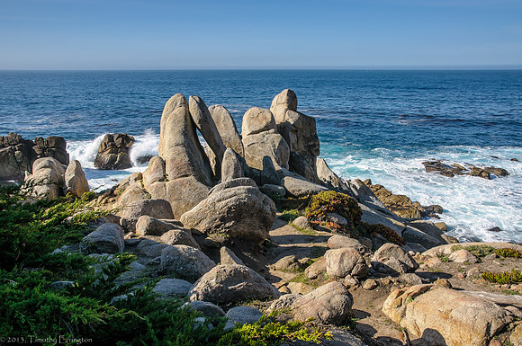 Pescadero Point