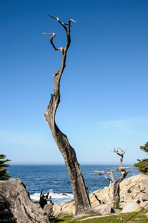 Pescadero Point
