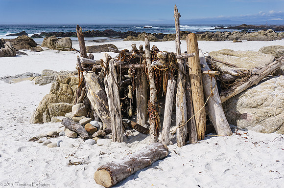 Driftwood Hut