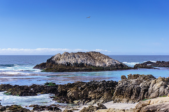 Bird Rock