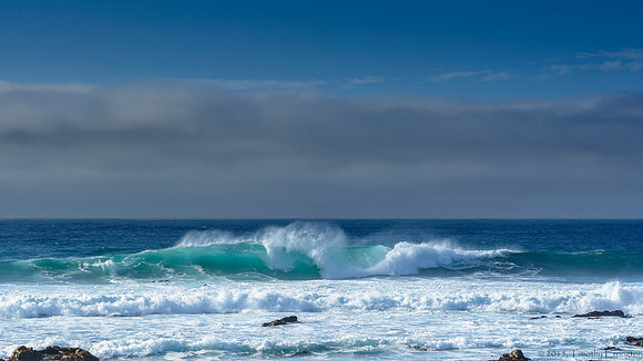 Surf
