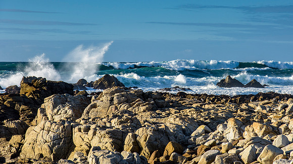 Surf Advisory