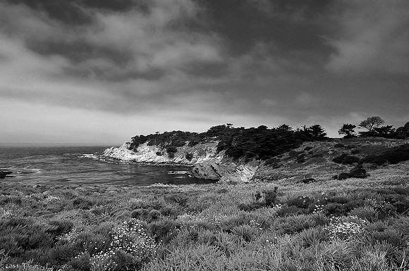 Point Lobos