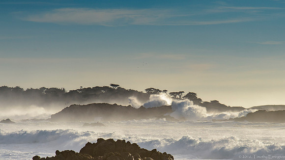 Big Surf