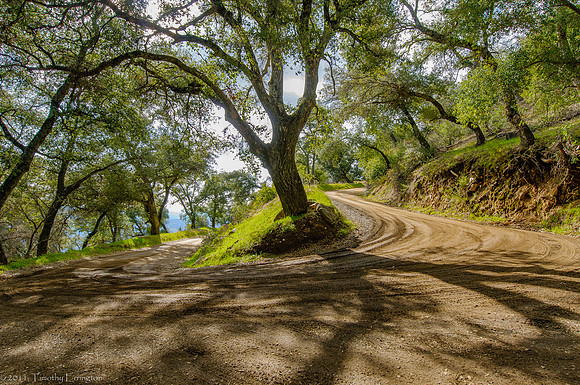 Mt. Palomar