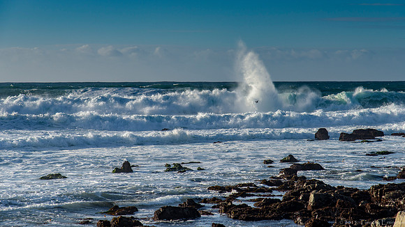 Surf Advisory