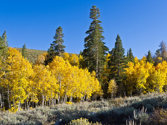 Virginia Lakes