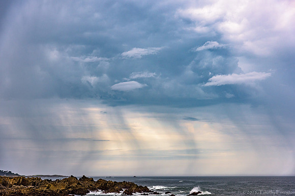 Summer Storm