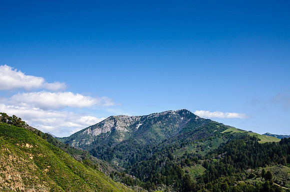 Old Coast Road