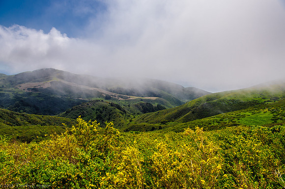 Old Coast Road