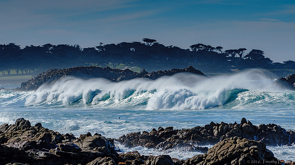 Winter Surf