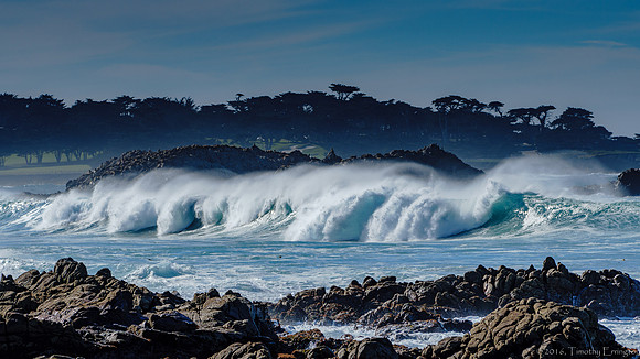 Winter Surf