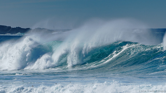 Winter Surf