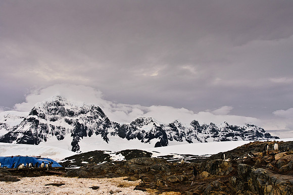 Port Lockroy