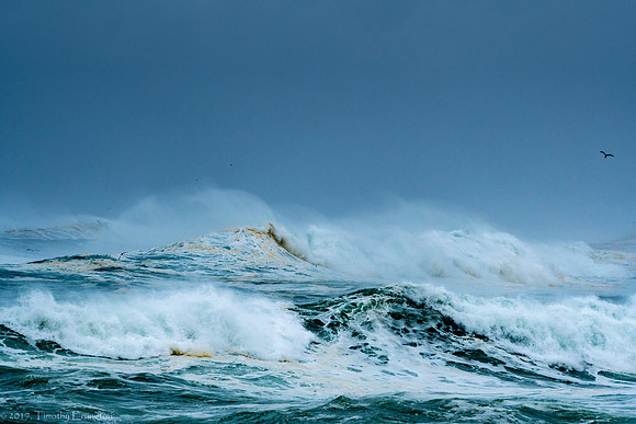 Angry Sea