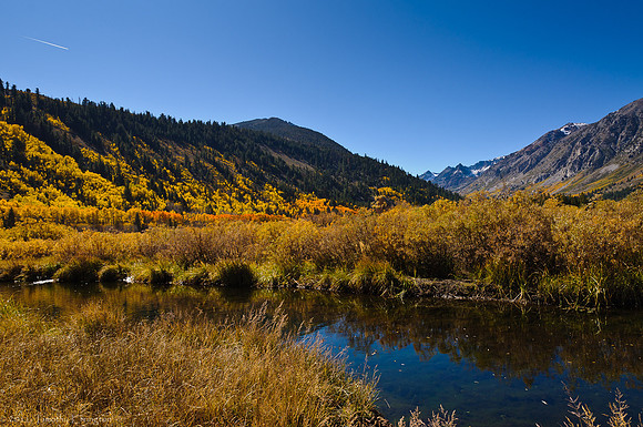 Green Creek