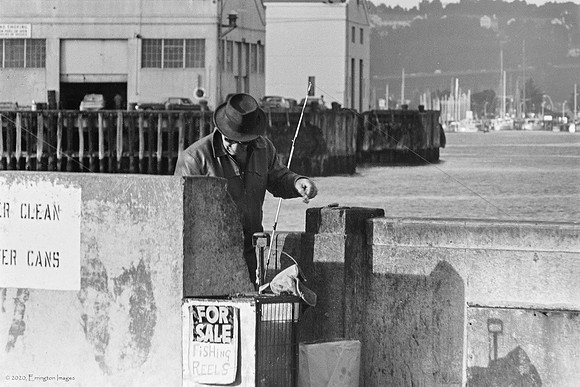 Aquatic Park