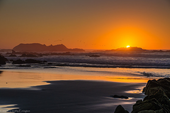 Bird Rock at Sunset