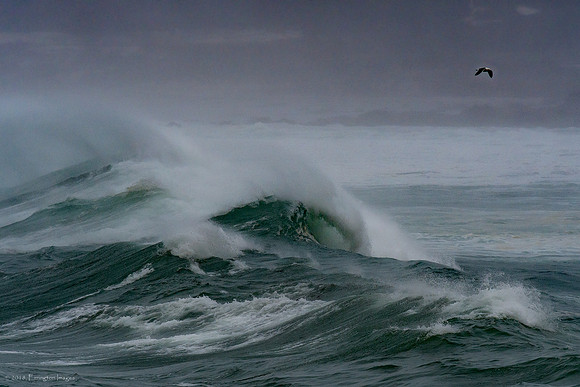 High Surf Warning