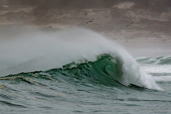 High Surf Warning
