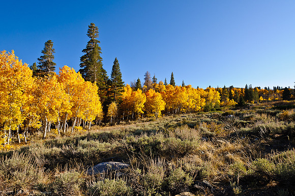 Virginia Lakes