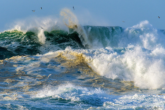 High Surf Warning