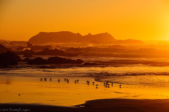 Bird Rock Sunset