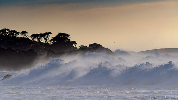 High Surf Warning