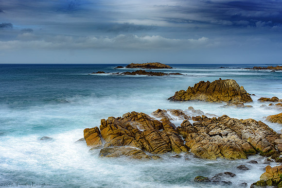 Bird Rock
