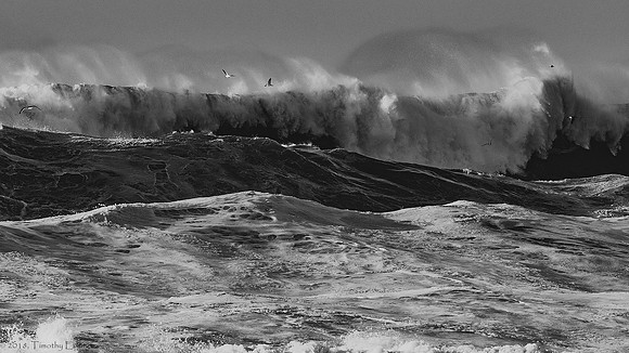 High Surf Warning