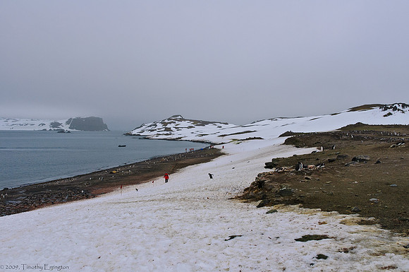 Aitcho Island