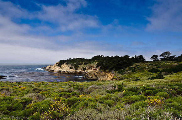 Point Lobos