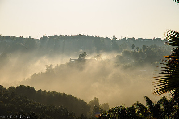 Foggy Morning
