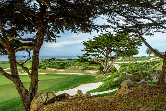 17 Mile Drive