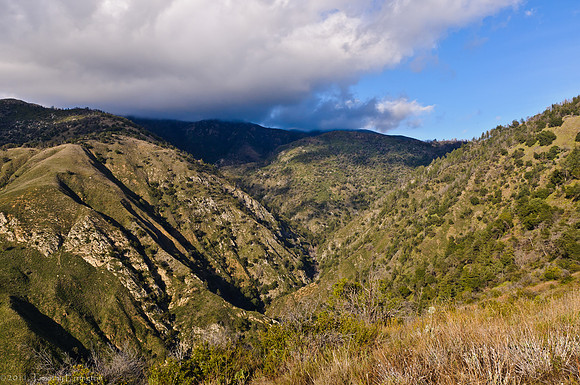 Mt. Palomar