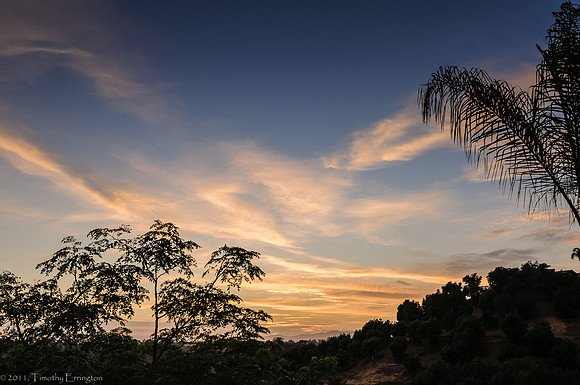 August Sunset