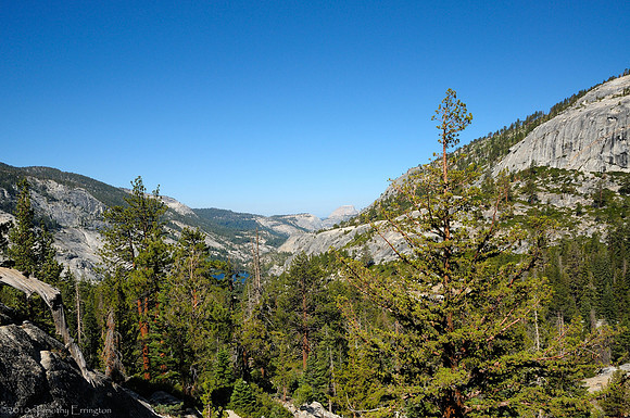 Trail to Vogelsang